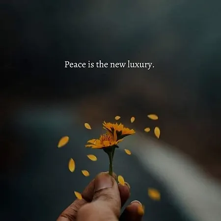 Boutique House Vresje 別荘 *