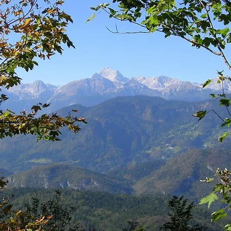 Boutique House Vresje