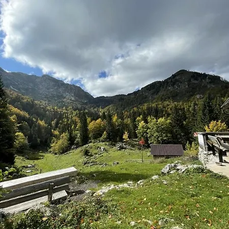 Boutique House Vresje *