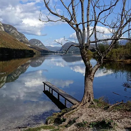 Casa de Férias Boutique House Vresje Bohinjska Bistrica