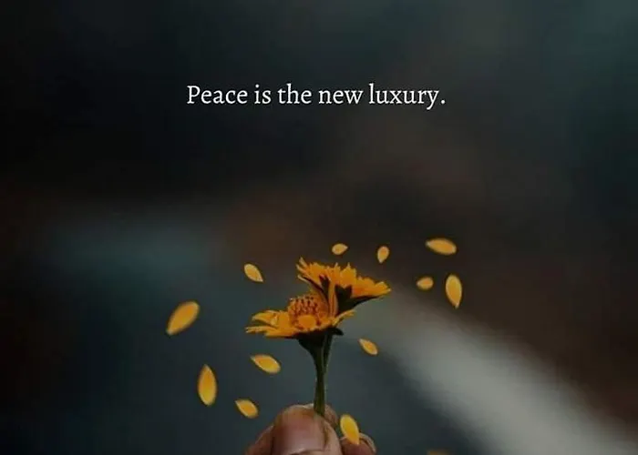 Boutique House Vresje Дом отдыха *