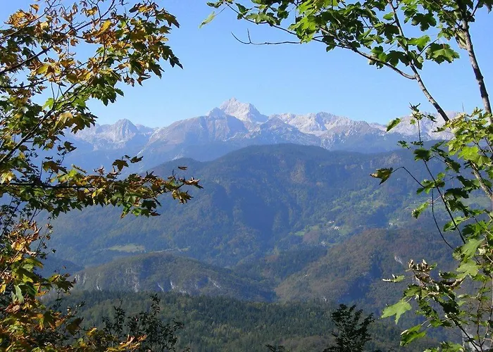 Boutique House Vresje