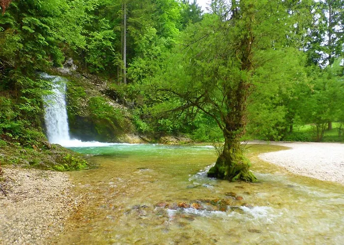 Boutique House Vresje Дом отдыха Бохиньска-Быстрица