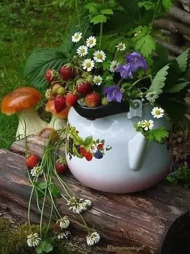 Boutique House Vresje *